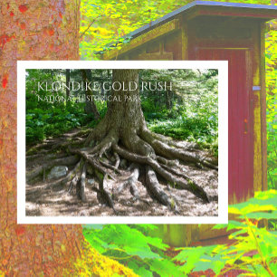 Finnegans Point, Chilkoot Trail, Gold Rush NHP Postkarte