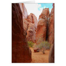 Finnen, Arches Nationalpark, Utah Card