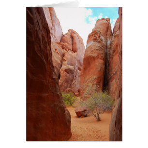 Finnen, Arches Nationalpark, Utah Card