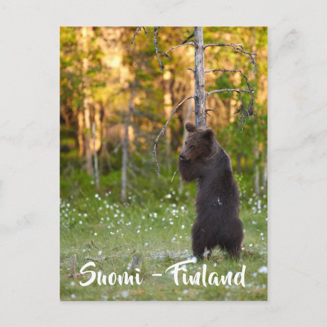 Finnisch-Finnische Naturpostkarte Postkarte (Vorderseite)