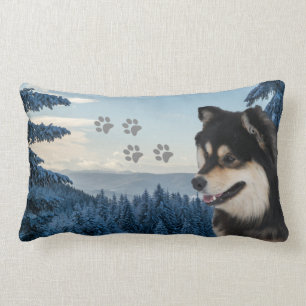 Finnisch Lapphund Roni Lendenkissen