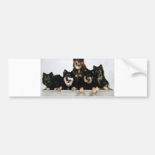 finnische lapphund Gruppe Autoaufkleber