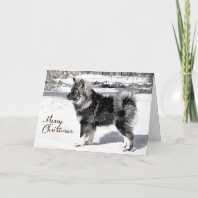 Finnische Lapphund Weihnachtskarte Feiertagskarte (Vorderseite)