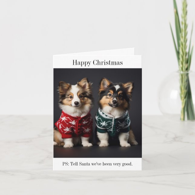 Finnische Lapphund Welpen Weihnachtskarte Karte (Vorderseite)
