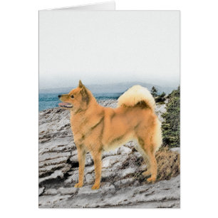 Finnischer Spitz beim Seashore-Gemälde - Hundekuns