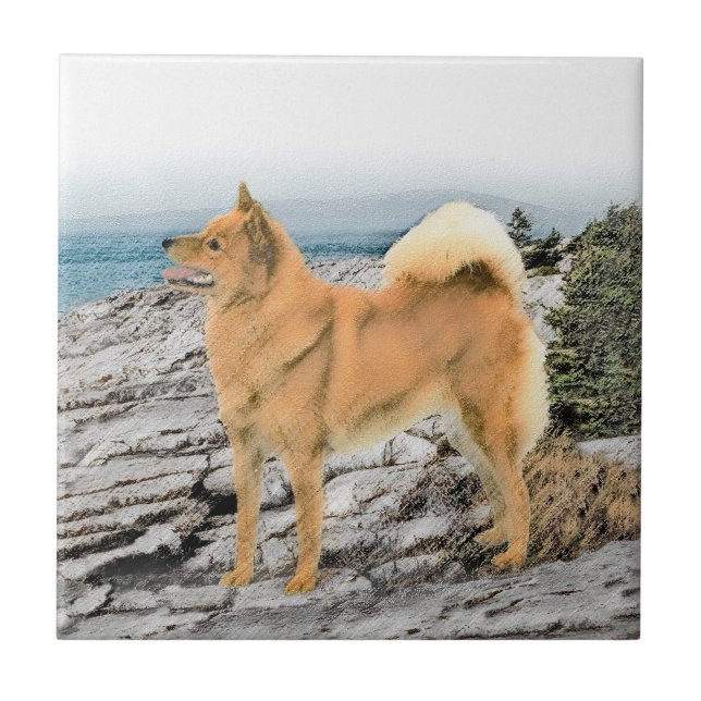 Finnischer Spitz beim Seashore-Gemälde - Hundekuns Fliese (Vorderseite)