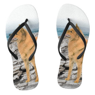Finnischer Spitz beim Seashore-Gemälde - Hundekuns Flip Flops