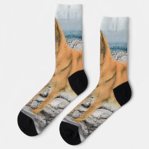 Finnischer Spitz beim Seashore-Gemälde - Hundekuns Socken