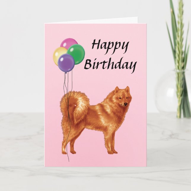 Finnischer Spitz mit Balloons Happy Birthday Karte (Vorderseite)