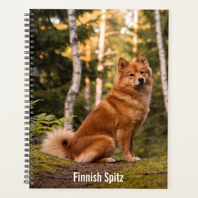Finnischer Spitz Planner Planer (Vorderseite)