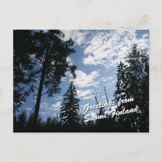 Finnischer Wald Postkarte