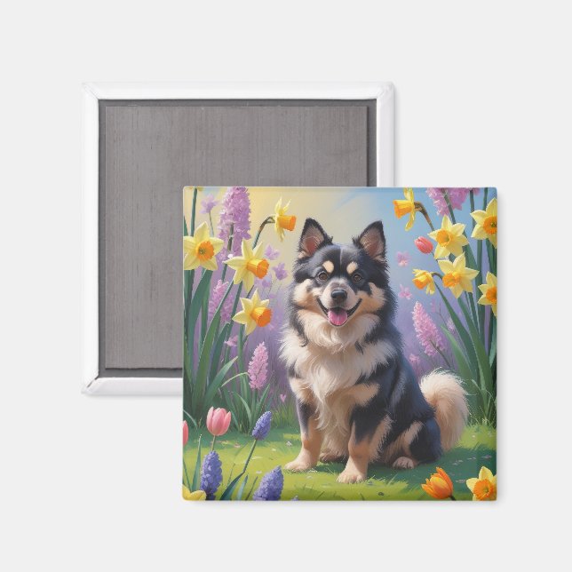 Finnisches Lapphund Hund Frühlingsblumen Malerei Magnet (Vorderseite/Rückseite)