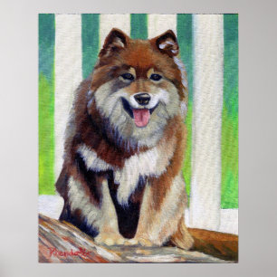 Finnisches Lapphund Hundeporträt Poster