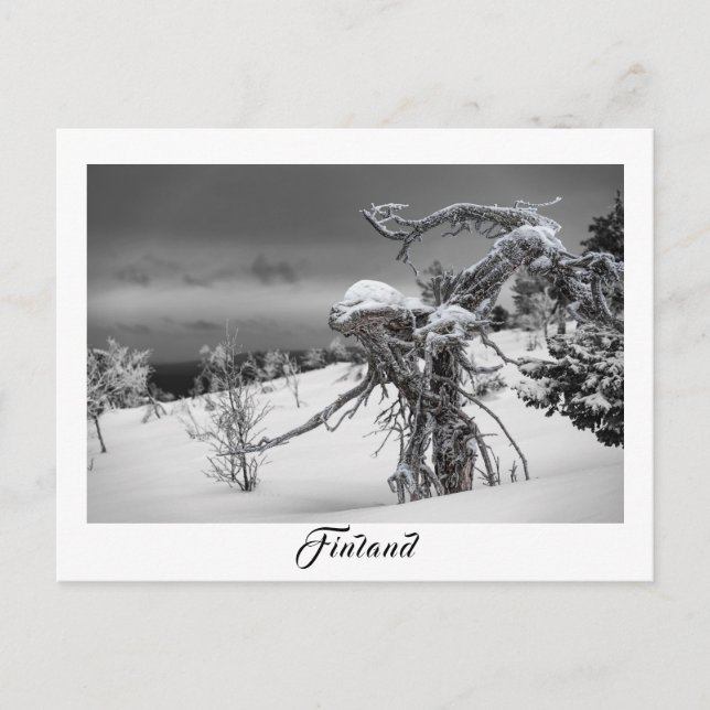 Finnland Alien Baumpostkarte Postkarte (Vorderseite)