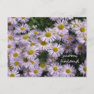 Finnland in Blume, 2. in Serie Postkarte