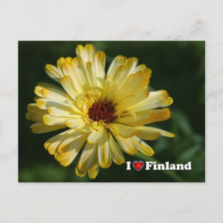 Finnland in Blume, 5. in Serie Postkarte