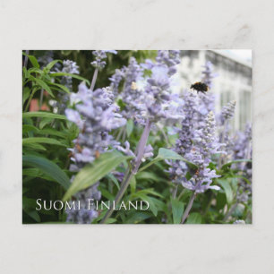 Finnland in Blume, 6. in Serie Postkarte