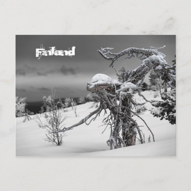 Finnland Postkarte Tourismus (Vorderseite)