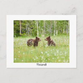 Finnland trägt die Natur-Postkarte Postkarte