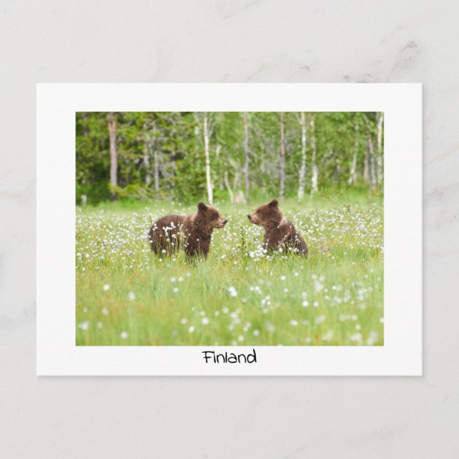 Finnland trägt die Natur-Postkarte Postkarte (Vorderseite)