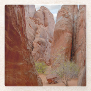 Fins, Arches National Park, Utah Glasuntersetzer