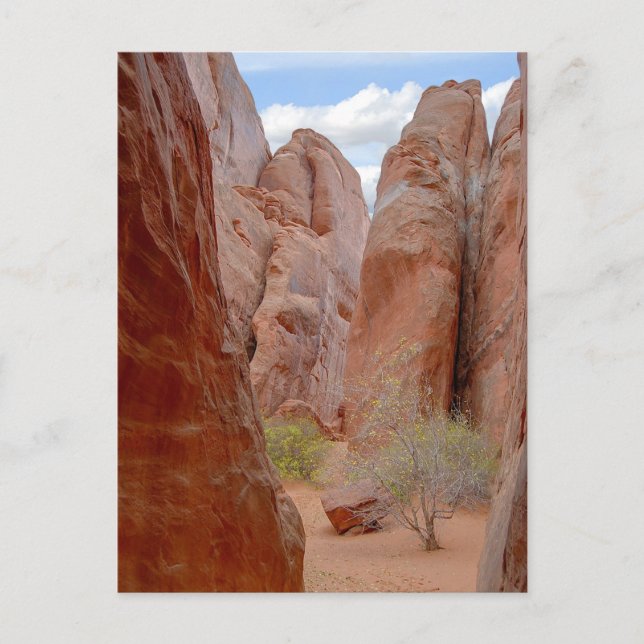 Fins, Parc National Des Arches, Utah, Carte Postal (Devant)