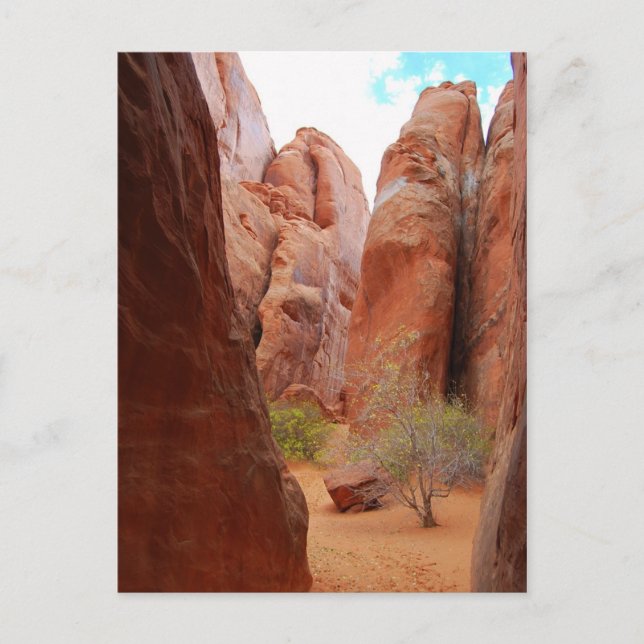 Fins, Parc National Des Arches, Utah, Carte Postal (Devant)