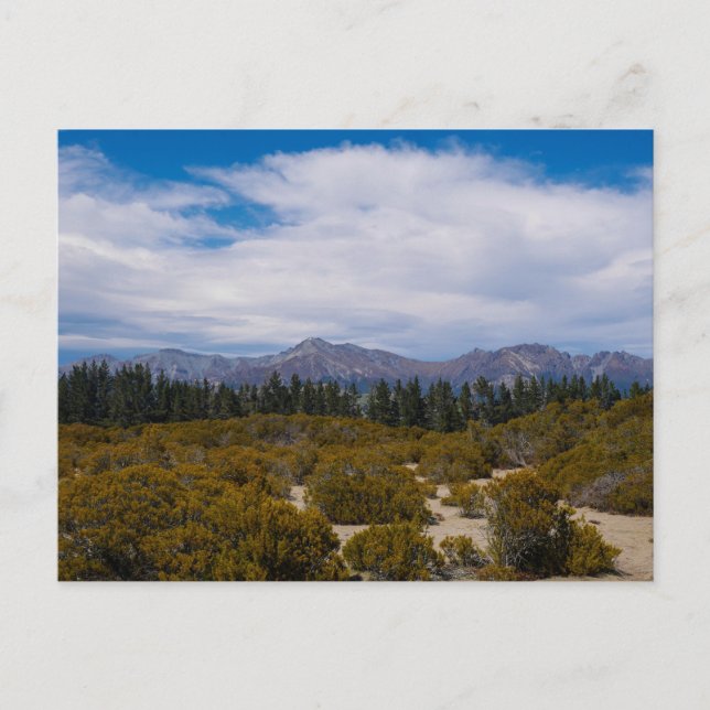 Fiordland, Neuseeland - Postkarte (Vorderseite)