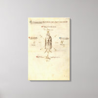 Fiore dei Liberis Segno zur Leinwand