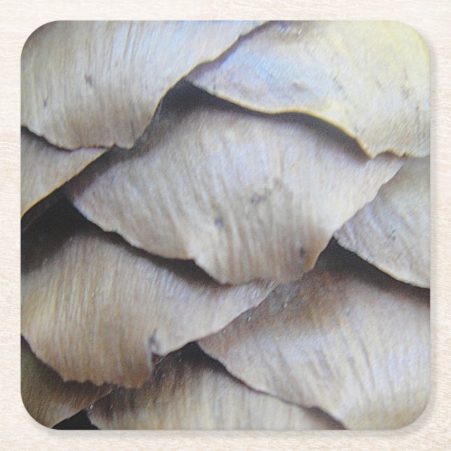 Fir Cone Muster Rechteckiger Pappuntersetzer (Vorderseite)