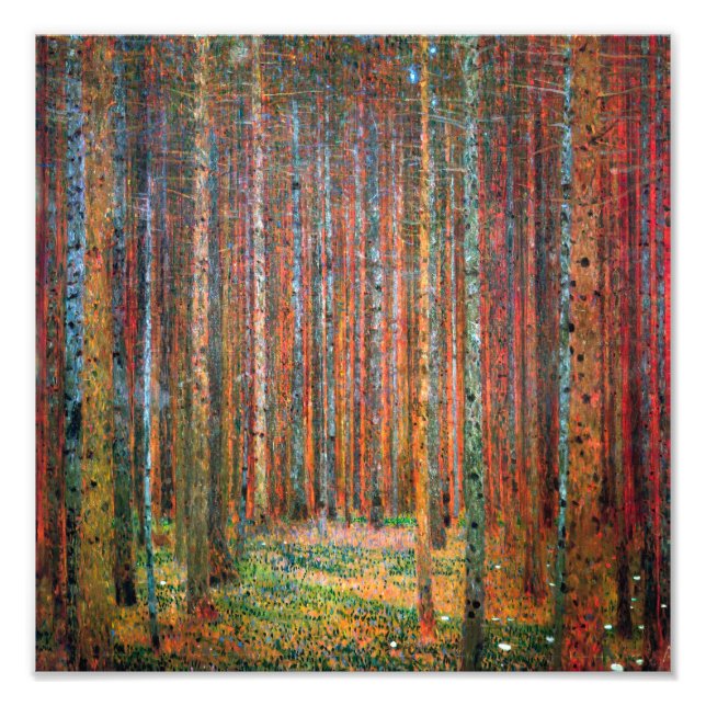 Fir Forest | Gustav Klimt | Fotodruck (Vorne)