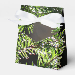 Fir Tree Favor Box Geschenkschachtel
