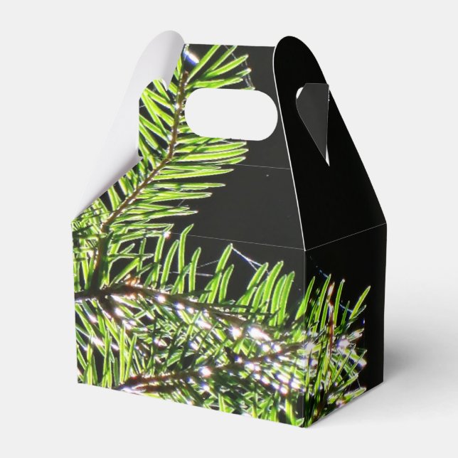 Fir Tree Favor Box Geschenkschachtel (Vorderseite)