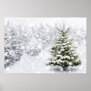 Fir Tree In Thick Snow Poster