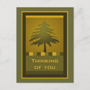 Fir Tree Postcard Postkarte