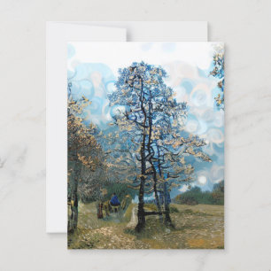 FIR TREE POSTKARTE