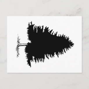 Fir Tree Postkarte