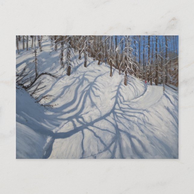 Fir Tree Shadows Tignes 2009 Postkarte (Vorderseite)