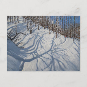 Fir Tree Shadows Tignes 2009 Postkarte