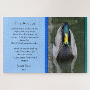 Fire And Ice Mallard Duck In Water
