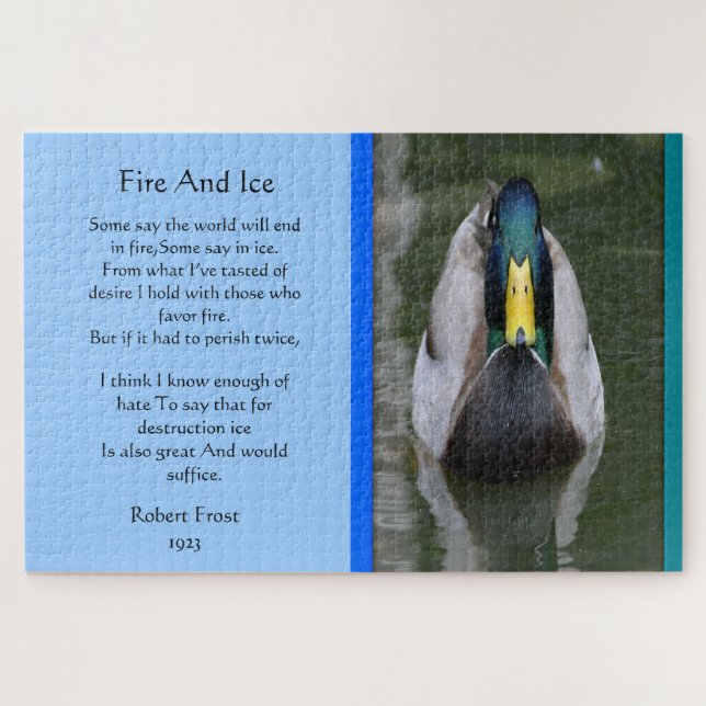Fire And Ice Mallard Duck In Water (Horizontal)