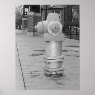 Fire Hydrant Poster