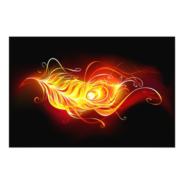 Fire Peacock Feather Fotodruck (Vorne)