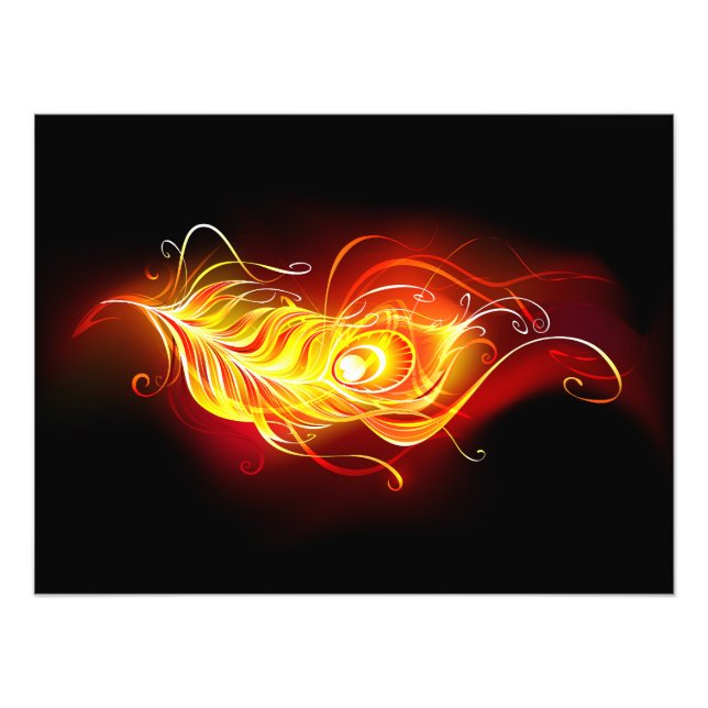 Fire Peacock Feather Fotodruck (Vorne)