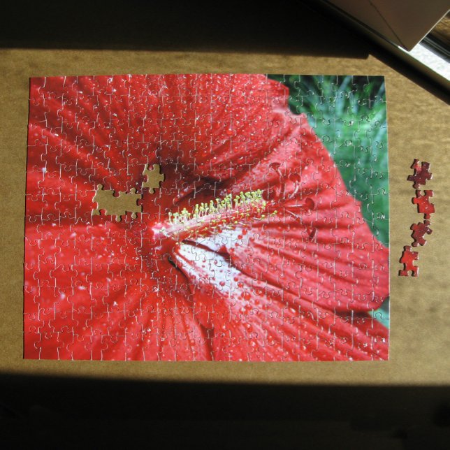 Fireball Hibisken Blume mit Raindropp Foto (Red Fireball Hibiscus Flower With Raindrops Photo Jigsaw Puzzle, in situ)