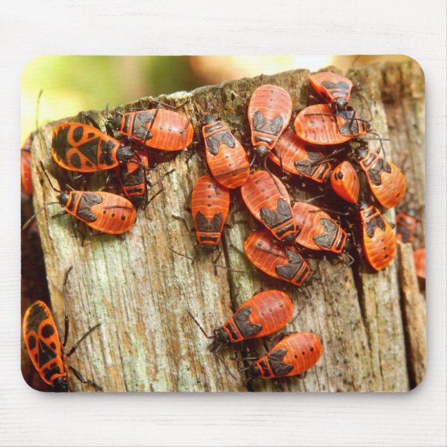 Firebugs Mouse Mat Mousepad (Vorne)