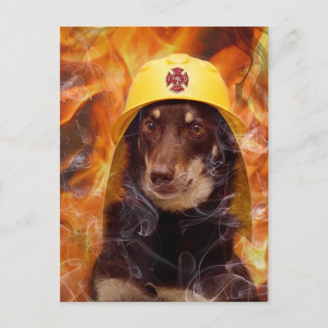 Firedog Postkarte (Vorderseite)