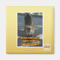 Firefox lehnt ab