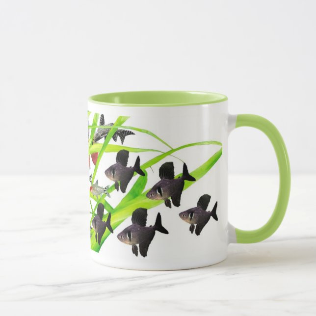 Firehead tetras tasse (Rechts)