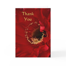 Firelight-Kaktus Vielen Dank